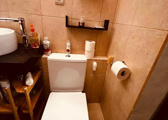 Appartement Flavia Bucarest